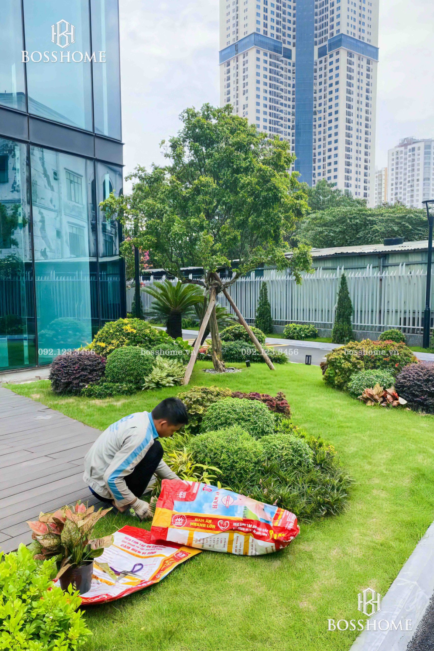 • Không gian sân vườn xanh mát sau khi được chăm sóc chuyên nghiệp