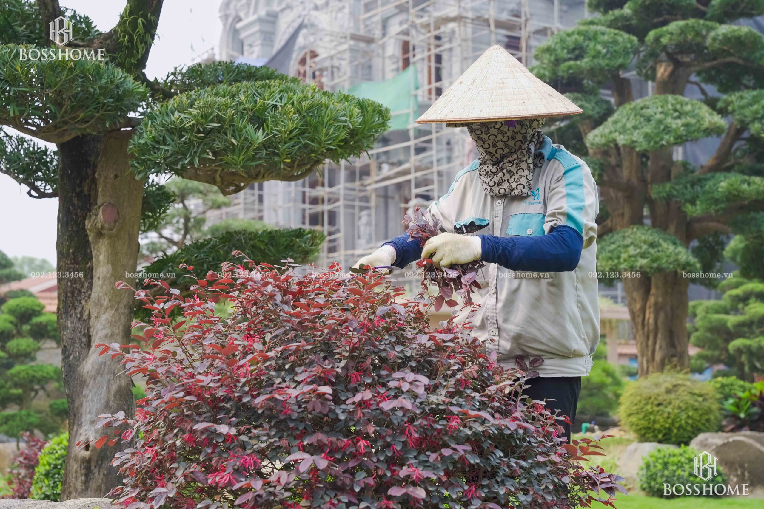 Dịch vụ chăm sóc sân vườn chuyên nghiệp cho nhà ở và biệt thự | Bosshome Landscape