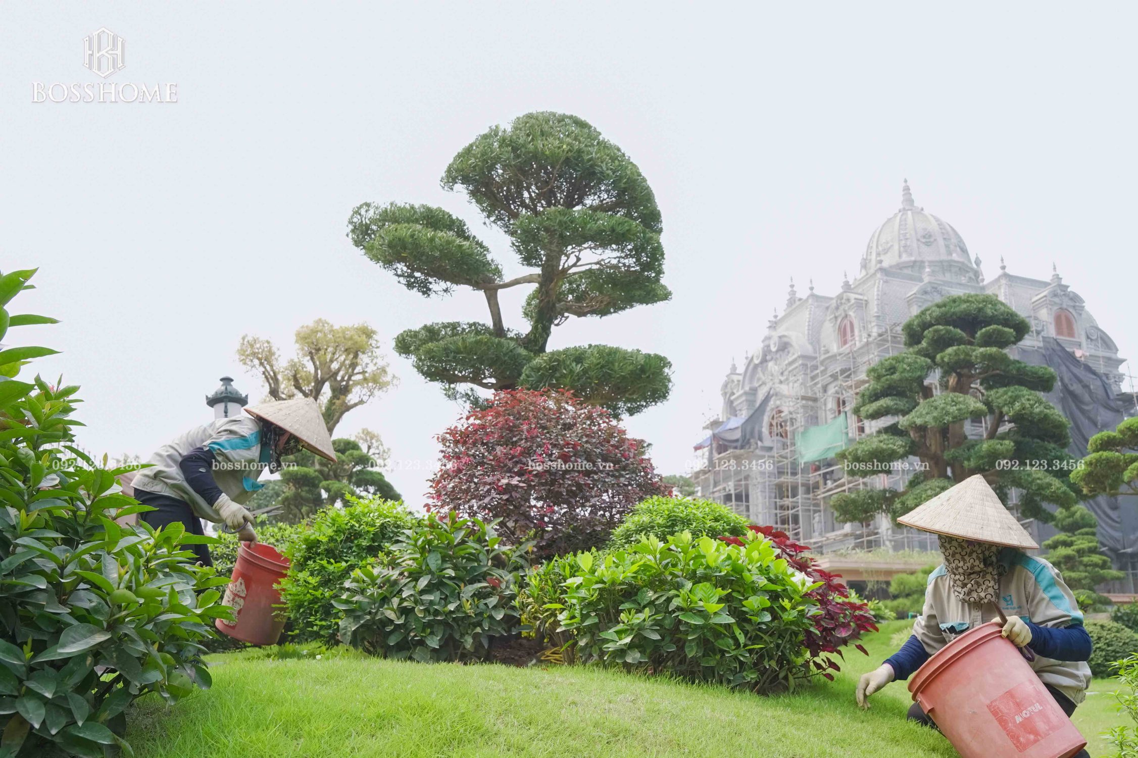 Khu vườn nhà phố được chăm sóc gọn gàng và tự nhiên