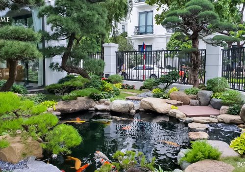 HỒ CÁ KOI TRONG SÂN VƯỜN BIỆT THỰ