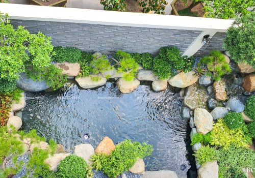 Hồ Cá Koi Hoa Sữa 10-30 Vinhomes Riverside | Bosshome Landscape