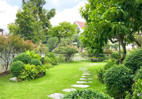 Dự án sân vườn Hoa Sữa 10-12 Vinhomes Riverside | Bosshome Landscape